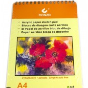 BLOCK LISO 300GR 12HS A4 